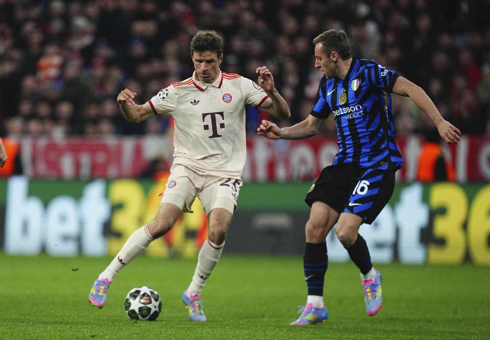 各路明星球 各路明星球